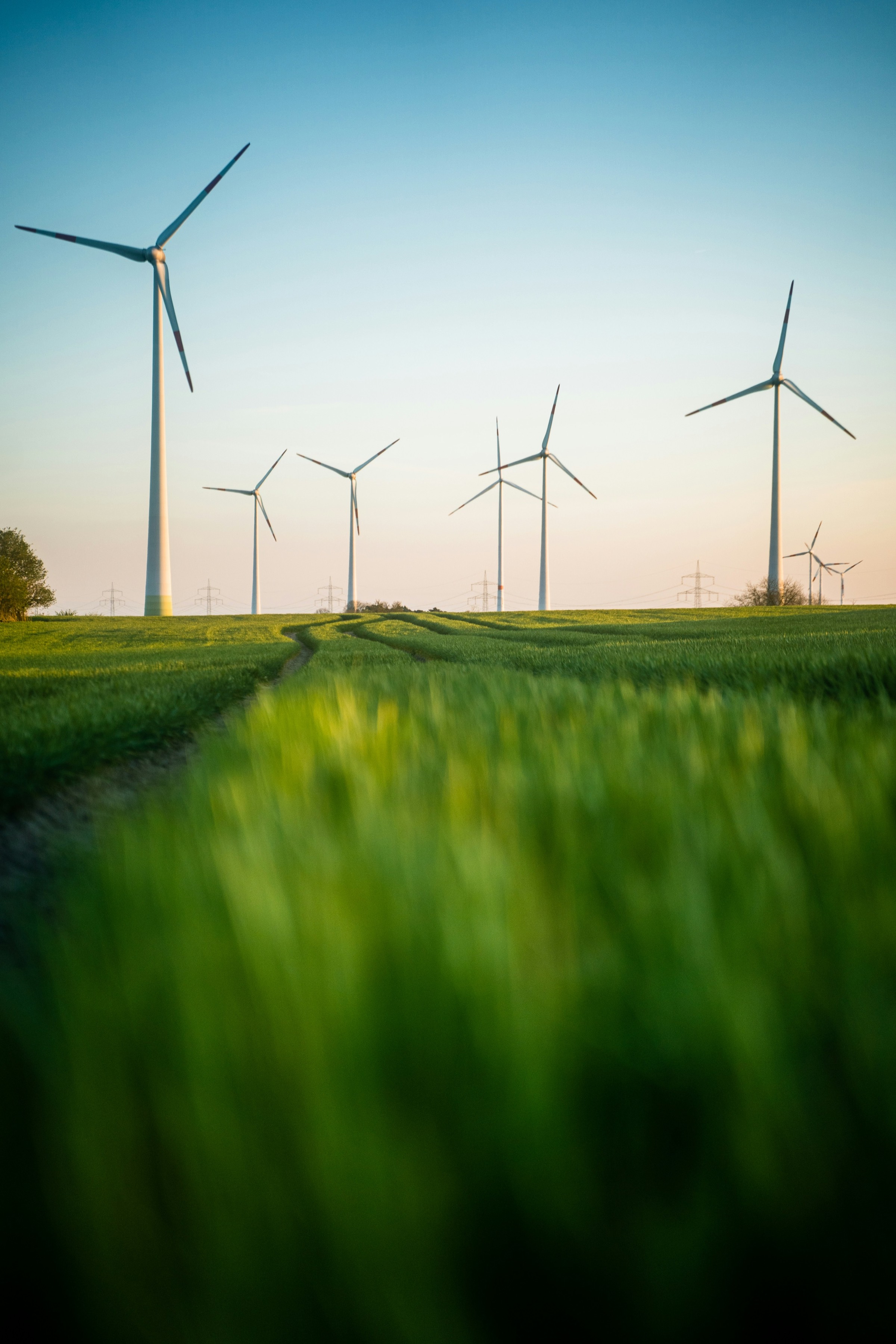 Windkraftanlagen in einem Feld, Muster-Motiv